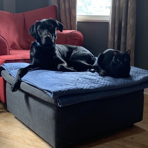 Fundraising Page: Taylor Schoen